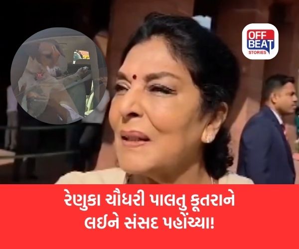 રેણુકા ચૌધરી પાલતુ કૂતરાને કારમાં લઈને પહોંચ્યા સંસદ