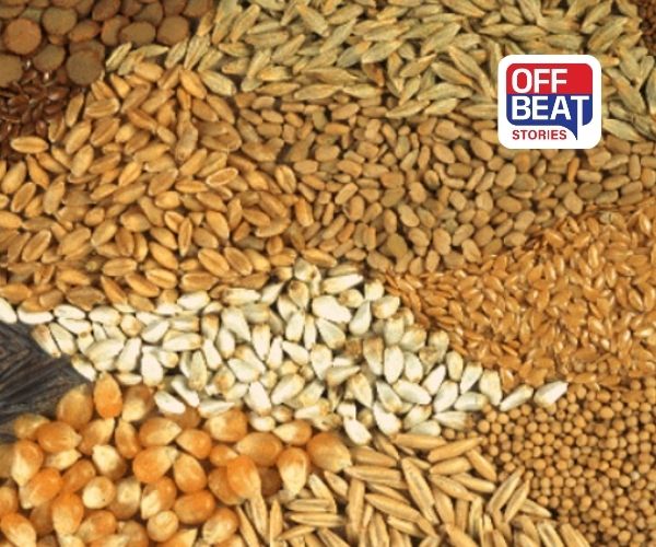 નવા બીજ બિલમાં શું છે નવું?