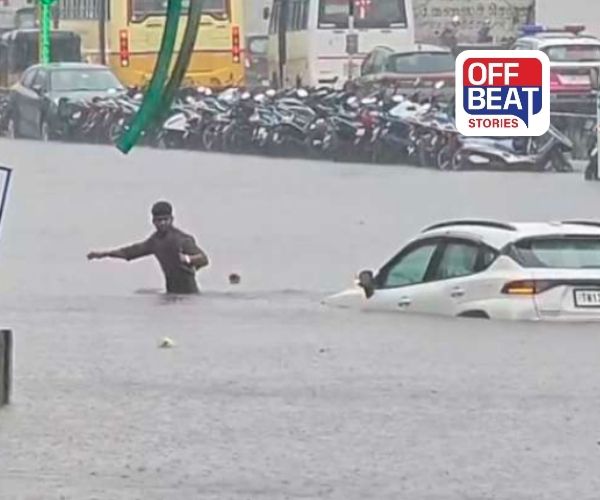 Cyclone ‘Ditwah’નો તાંડવ