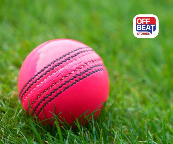 ટેસ્ટ ક્રિકેટનું નવું આકર્ષણ પિંક બોલ!