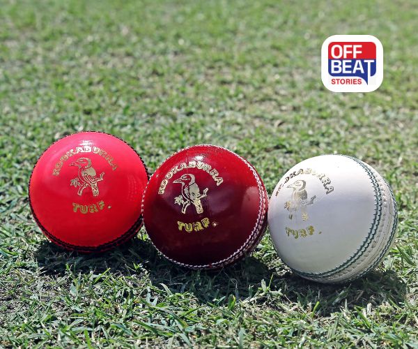 રેડ બોલ vs પિંક બોલ vs વ્હાઇટ બોલ