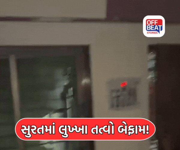 સુરતના લીંબાયત વિસ્તારમાં અસામાજિક તત્વોનો આતંક