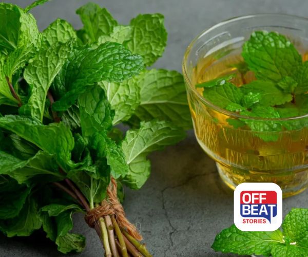 રાત્રે સૂતા પહેલા પીઓ આ જાદુઈ ચા!: મળશે અદ્ભૂત સ્વાસ્થ્ય લાભ, જાણો સેવન કરવાની સાચી રીત