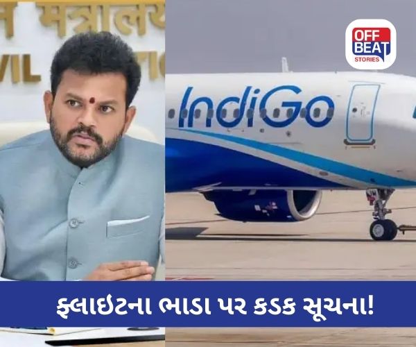 ફ્લાઇટના મનમાની ભાડા પર સરકારનો મોટો નિર્ણય