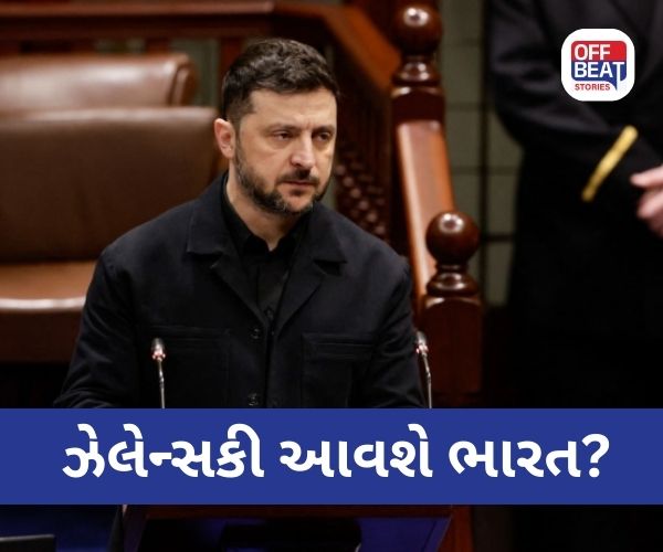 પુતિનની મુલાકાત પૂરી, હવે ઝેલેન્સકીનો વારો?