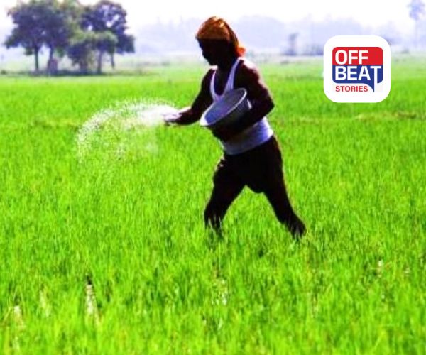 નકલી ખાતર પર સરકારનો કડક હાથ