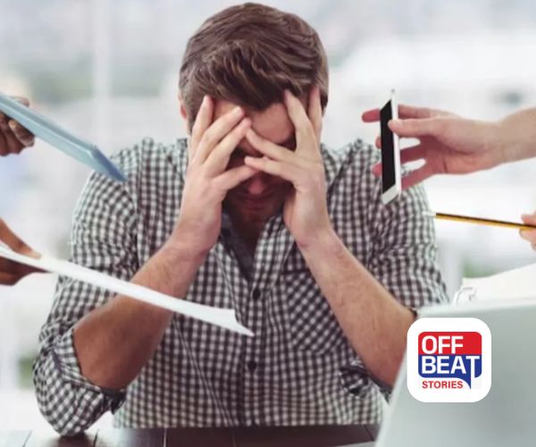 નાની-નાની વાતમાં તણાવ થાય છે?: રાત્રે પીવો આ 4 જાદુઈ પીણાં ! મગજ થઈ જશે એકદમ શાંત