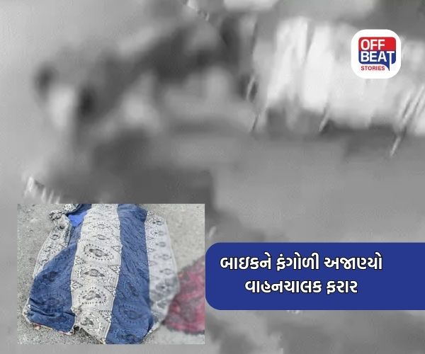 નાવીયાણી પાસે કંપારી છૂટી જાય તેવો અકસ્માત