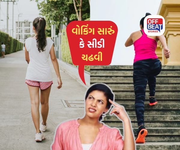 Walking vs Stair Climbing: ઝડપથી વજન ઘટાડવા માટે વોકિંગ સારું કે સીડી ચઢવી? જાણો કયું વધુ અસરકારક, સડસડાટ ઓગળશે ચરબી!