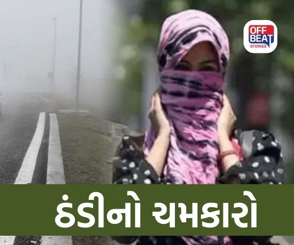 ગુજરાતમાં ગુલાબી ઠંડીનો ચમકારો!