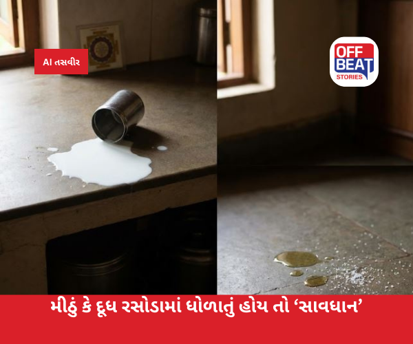 રસોડામાં વારંવાર હાથમાંથી પડે છે આ વસ્તુઓ?