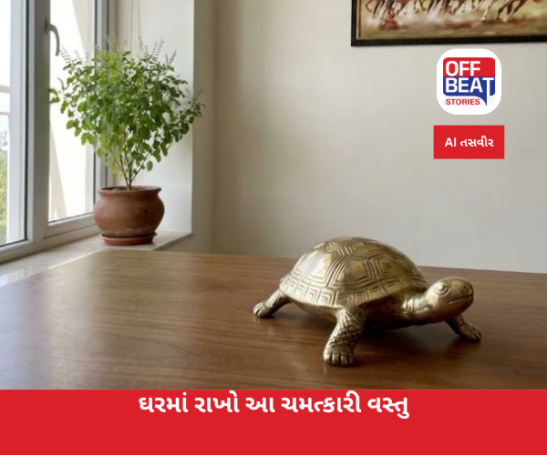 ઘરમાં રાખો આ ચમત્કારી વસ્તુઓ અને જુઓ નસીબનો ખેલ