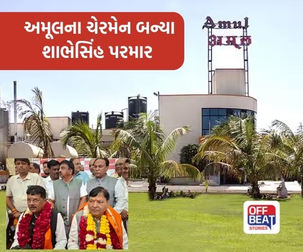અમૂલ ડેરીના નવા ચેરમેન અને વાઈસ ચેરમેનની વરણી