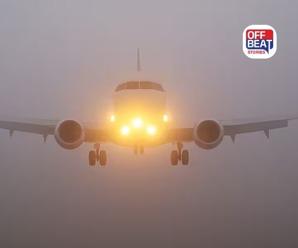 Indigo, Spicejet એ મુસાફરો માટે જાહેર કરી એડવાઇઝરી