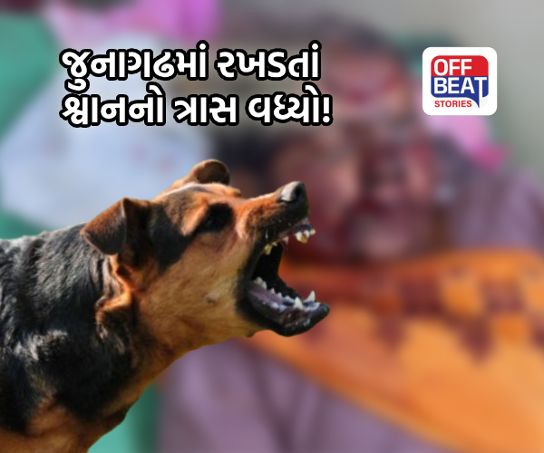 વિસાવદરના મુંઢિયા રાવણી ગામે શ્વાનનો આતંક