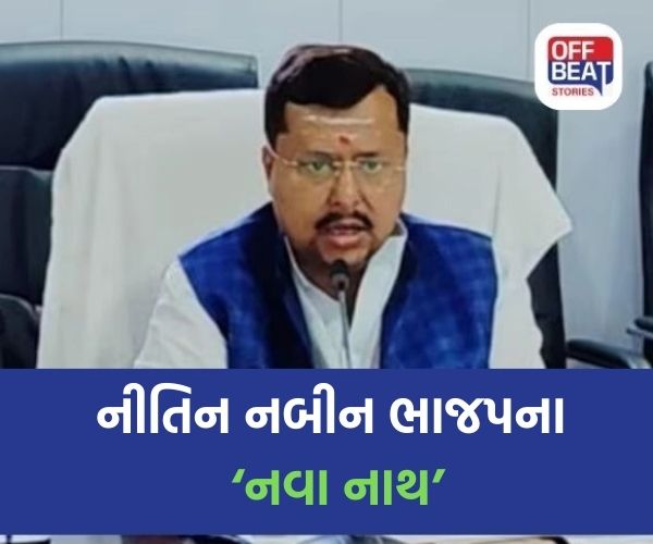 નીતિન નબીન બન્યા ભાજપના રાષ્ટ્રીય કાર્યકારી અધ્યક્ષ