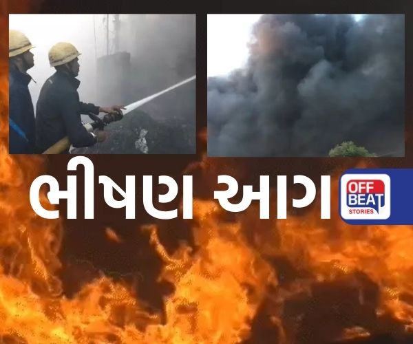 સુરતના બારડોલીમાં ભંગારના ગોડાઉનમાં ભીષણ આગ