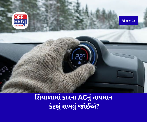 શિયાળામાં કારના ACનું તાપમાન કેટલું રાખવું જોઈએ?