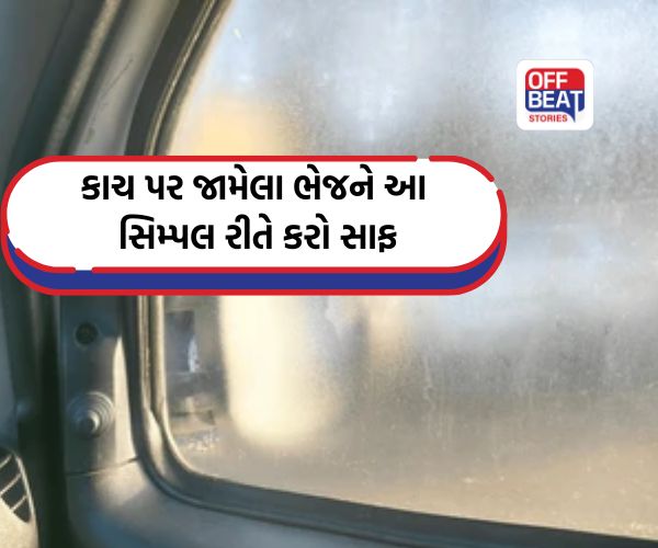 Car cleaning tips: શિયાળામાં ઝાકળથી કારના કાચ પર ભેજ જામે છે? આ 1 વસ્તુથી કરો કાચને સાફ, દૂર સુધી દેખાશે ક્લિયર વ્યૂ