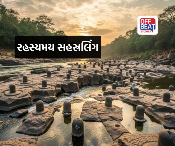 રહસ્યમય નદીના ગર્ભમાં છુપાયેલા 1000 શિવલિંગો