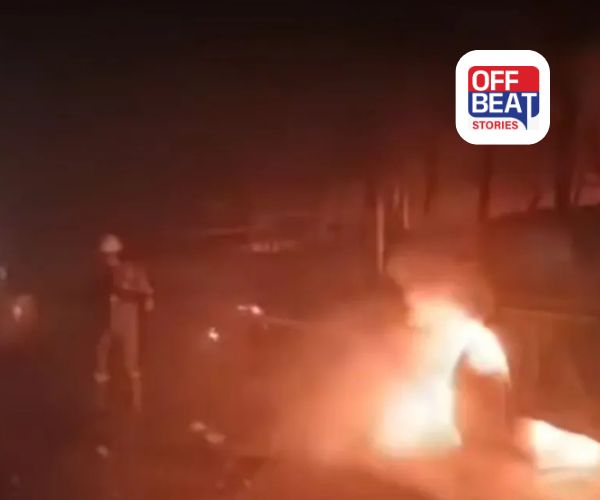 મથુરામાં યમુના એક્સપ્રેસવે પર ધુમ્મસને કારણે ભયાનક અકસ્માત