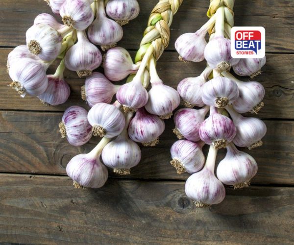 Benefits of Garlic: ઠંડીમાં દવા જેવું કામ કરે છે રસોડામાં રહેલી આ સફેદ વસ્તુ, આમ સેવન કરવાથી સ્વાસ્થ્યને થશે ગજબના ફાયદા