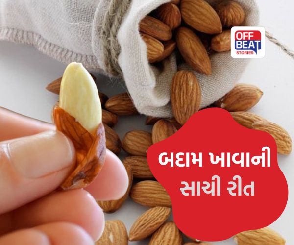 Benefits of eating Almonds: બદામને છાલ સાથે ખાવી જોઇએ કે કાઢીને? જાણો ખાવાની સાચી રીત, મોટાભાગના લોકો કરે છે ભૂલ