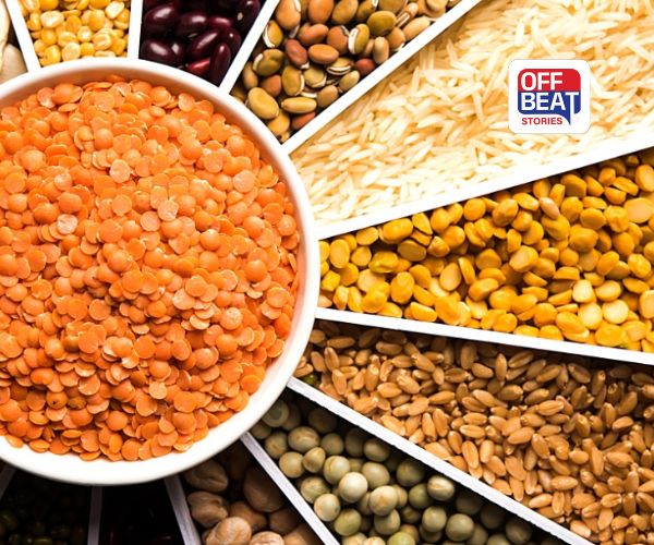 કઈ દાળ સૌથી ઝડપથી પચે છે?: અડદ કે ચણાની દાળ નહીં, આ છે સૌથી હળવી દાળ! જાણો તેના અગણિત ફાયદા