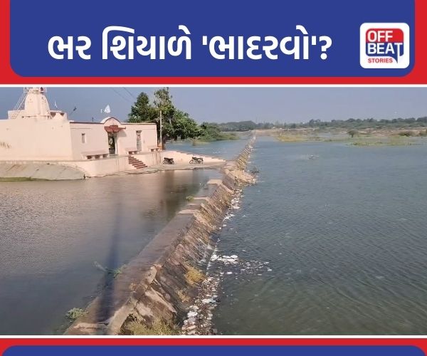 ધોળીધજા ડેમ ભર શિયાળે ઓવરફ્લો થયો
