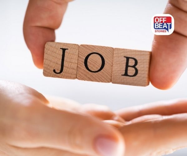 ડિગ્રી કે અનુભવ વગર ટેક ક્ષેત્રમાં કરિયર બનાવવાની 'સુવર્ણ તક'