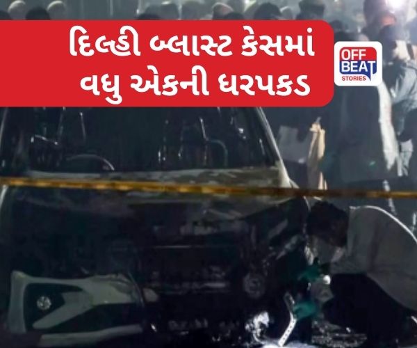 દિલ્હી બ્લાસ્ટ કેસમાં 9મી ધરપકડ