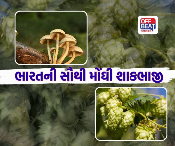 Most Expensive Vegetable