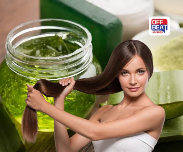 Aloe Vera Gel Mask For Hair: શિયાળામાં વાળની સમસ્યાથી પરેશાન છો? ઘરે બનાવો એલોવેરા જેલનું આ ખાસ હેર માસ્ક; થશે ઘાટા અને સાઇની