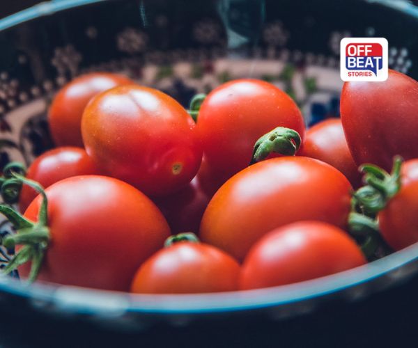 Tips And Tricks: ટામેટાને આ રીતે કરો સ્ટોર, શિયાળો હોય કે ઉનાળો, 1 મહિના સુધી રહેશે તાજા; સ્વાદ પણ નહીં બગડે