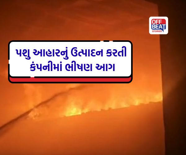 મહેસાણાના કડીમાં જાણીતી કંપનીમાં ભીષણ આગ
