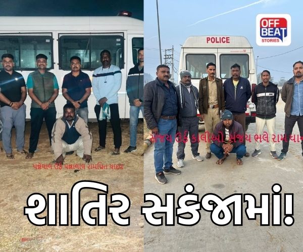 વડોદરા ક્રાઈમ બ્રાન્ચની આરોપી 'શોધખોળ ડ્રાઈવ'!