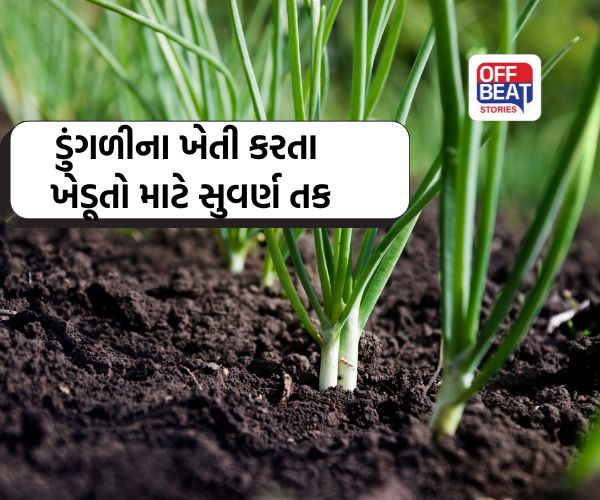 ડુંગળીની ખેતીમાં માલામાલ થવાનો મંત્ર