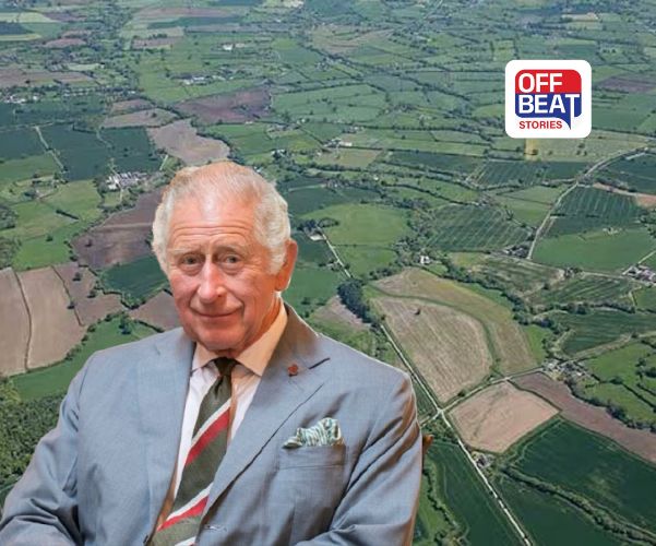 જાણવા જેવું