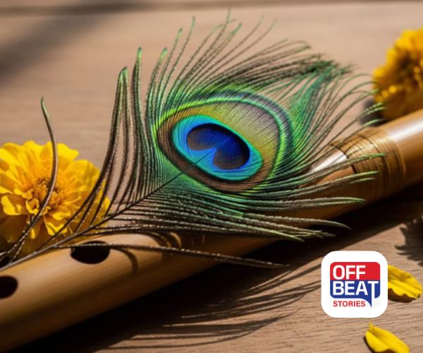 ઘરમાં આ 4 જગ્યાએ મૂકો મોરપીંછ