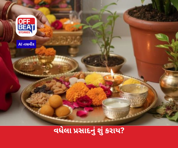 વધેલા પ્રસાદનું શું કરાય?