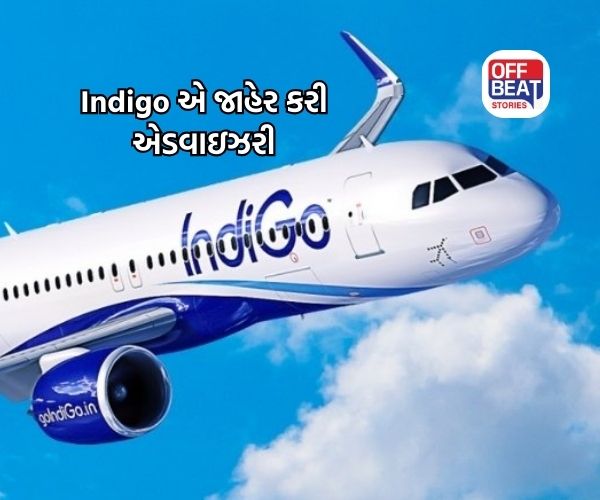 Indigo ના મુસાફરો માટે મોટા સમાચાર
