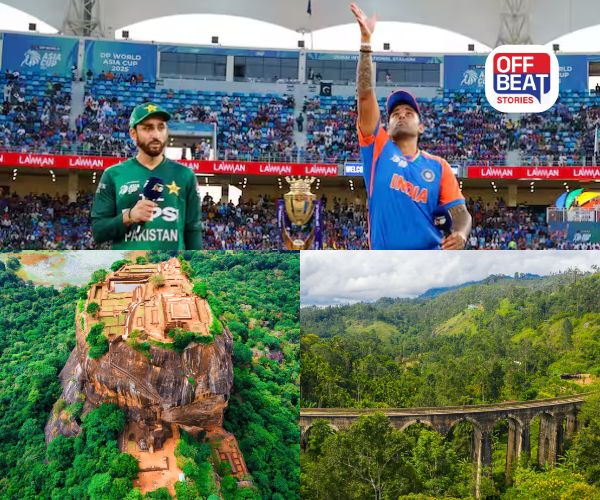 શ્રીલંકા T20 વર્લ્ડ કપ સ્પેશિયલ; ક્રિકેટનો રોમાંચ અને કુદરતી સૌંદર્ય!