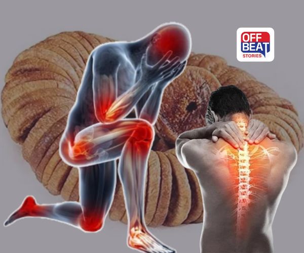 Bone Health: કેલ્શિયમનો ખજાનો છે અંજીર, દરરોજ આ રીતે સેવન કરવાથી હાડકાના દુખાવા અને કમજોરીથી મળશે છુટકારો