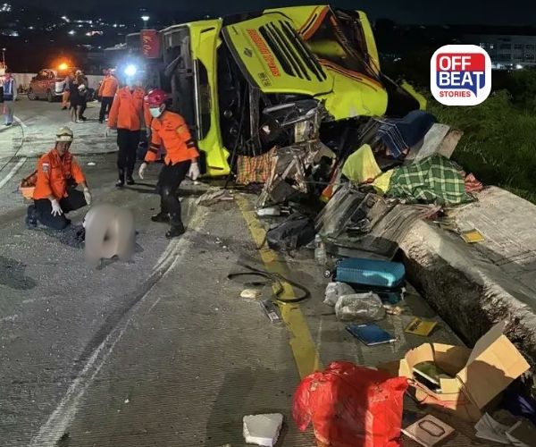 ઈન્ડોનેશિયામાં ભયાનક માર્ગ અકસ્માત