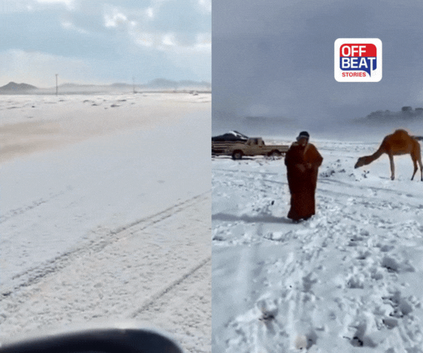 30 વર્ષ બાદ રણમાં બરફ પડતા કૌતુક સર્જાયું