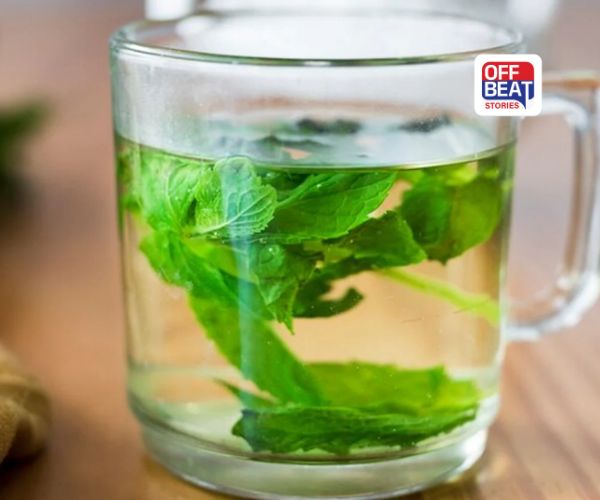 Tulsi Water: અમૃત સમાન છે આ લીલા પાંદડાનું પાણી, રોજ સવારે ખાલી પેટે પીવાથી મળશે અગણિત ફાયદા; જાણો ક્યારે પીવું