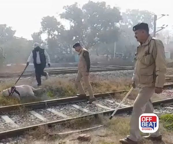 પટિયાલામાં રેલવે સ્ટેશન સહિતઅનેક શાળાઓને મળી બોમ્બની ધમકી