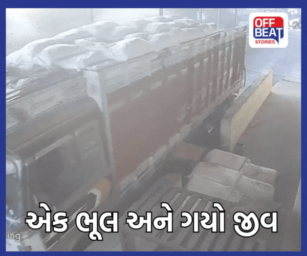 મહેસાણામાં પિતાની ભૂલથી દીકરાનો લેવાયો ભોગ