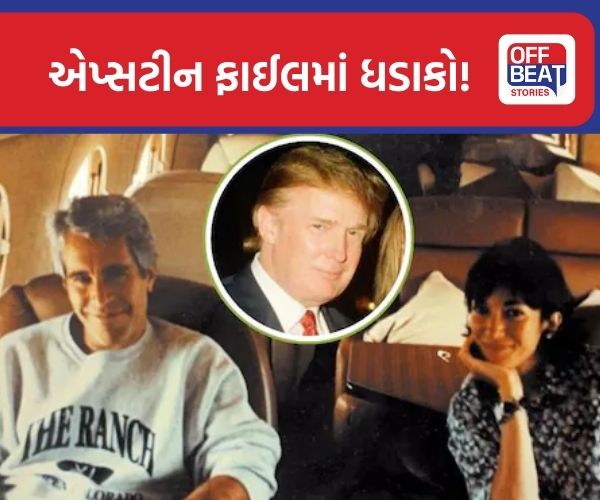 Epstein Files નો એક નવો અને ચોંકાવનારા ખુલાસો