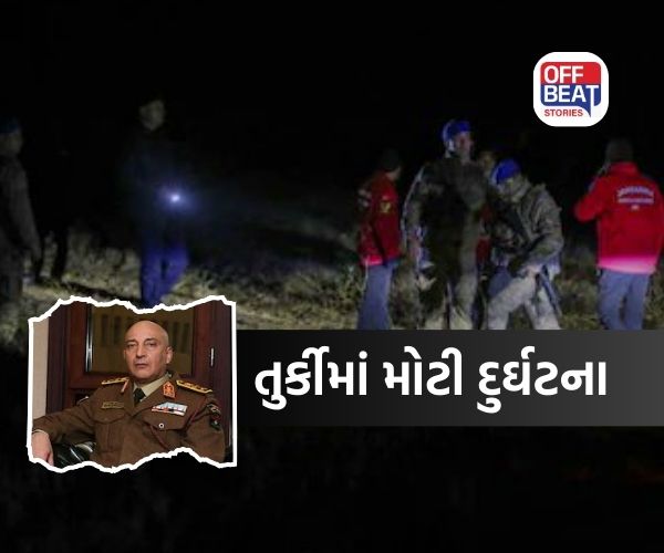 તુર્કીમાં ભયાનક પ્લેન ક્રેશ